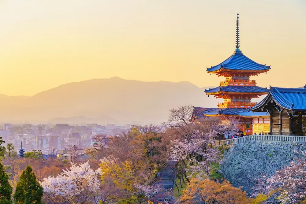Japon : Entre temples, sakura et cuisine d’exception